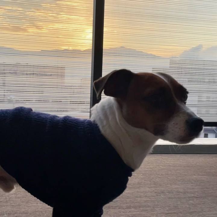 Cfc83710 dbcb 4c0d a8a2 c9bab76da0ea 1643412292506