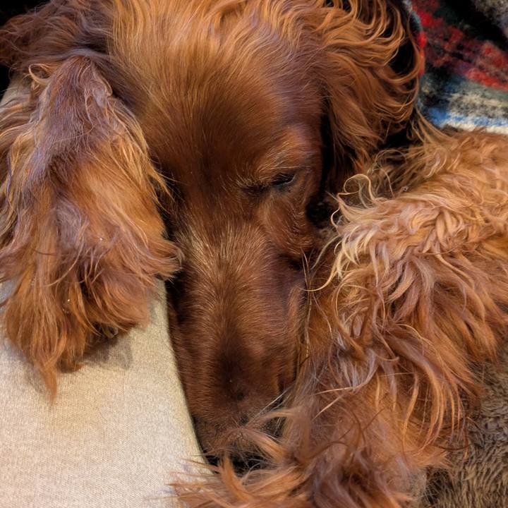 Cfc85ffb 639f 4c52 a6bb e28ff93fcb3d 1769734151688