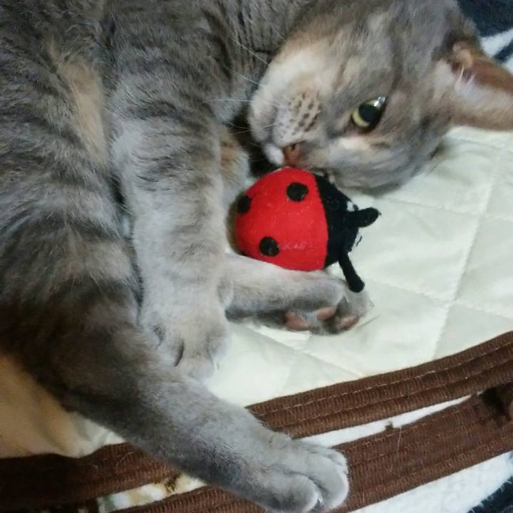 Cfc871be 1169 46c6 bd4c b76990bc5f8e 1588505804558