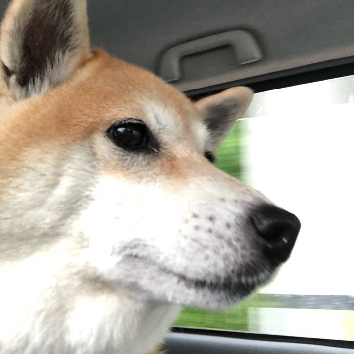 Cfc878e3 7a12 4dc5 815b 5b78caebef0e 1569039134687