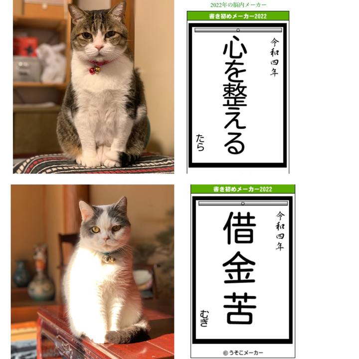 Cfc879e0 69f2 4ad8 9ee2 608370a7b4bd 1641298633289