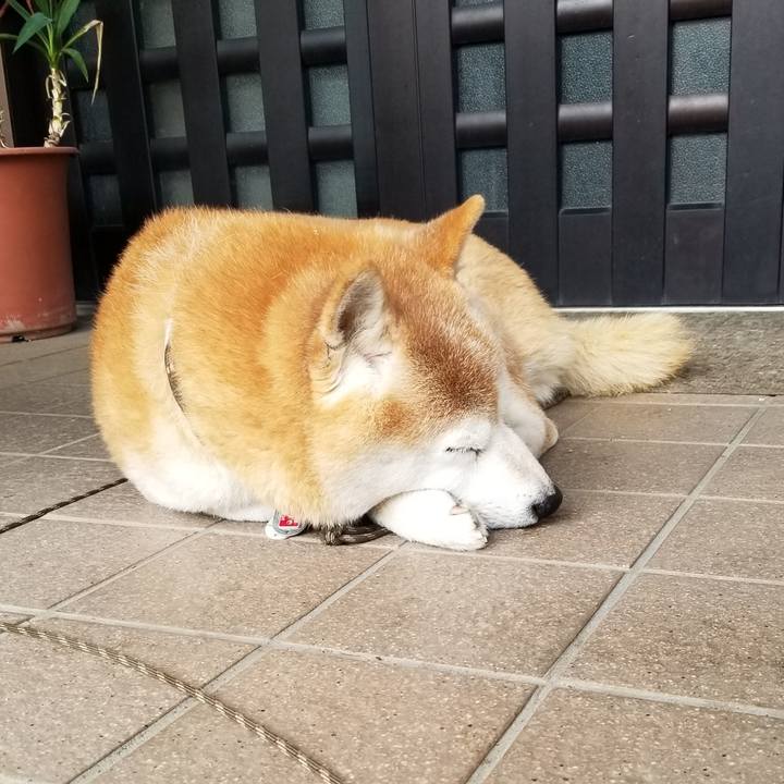 Cfc895ba f7c3 4bca a3de a612aee30f5d 1698474857272