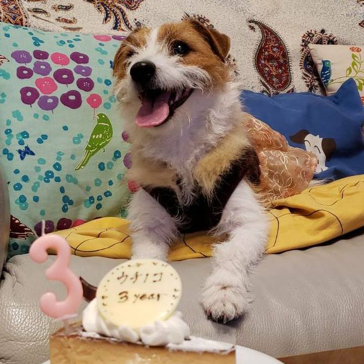 Cfc89b04 7c34 45f7 abbd 5c9a9718f947 1583328386596