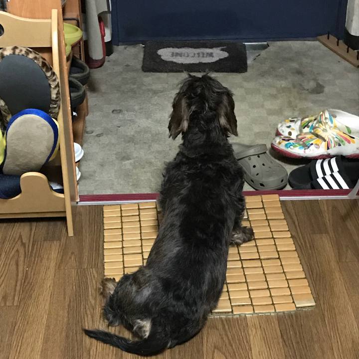 Cfc8ef43 80e4 4112 948a 82420cac8330 1564928081157