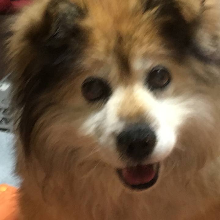 Cfc8f3a2 f373 4d6f bbd1 6a99dcc5825f 1625705472473