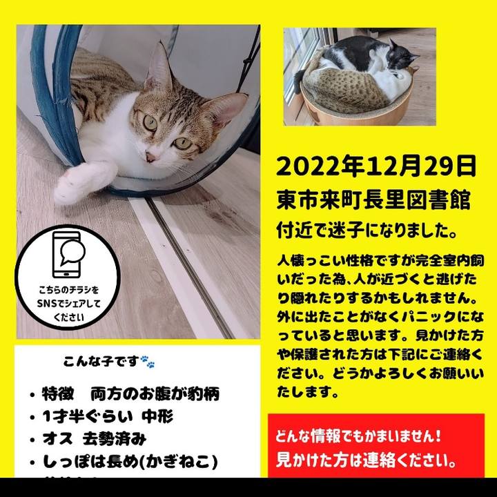 Cfc91ee2 cc27 4bc4 9c44 043a28b6bf9a 1672838149805