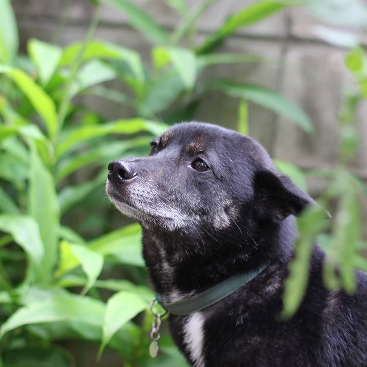 Cfc93b6d b45f 4c6b 82fd 4e65445305a9 1601468178165