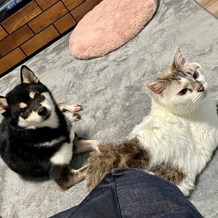 Cfc94c8a c9b7 4235 b18b 4685c74d29f7 1725440130921