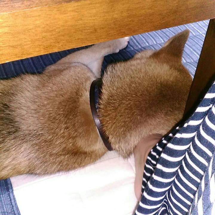 Cfc97536 aa2c 4b68 8ae0 b18ba94fae09 1565789584033