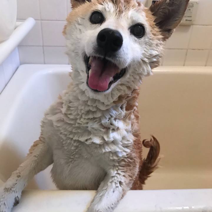 Cfc9afa7 2405 4074 98c2 480c487e2859 1600690393932