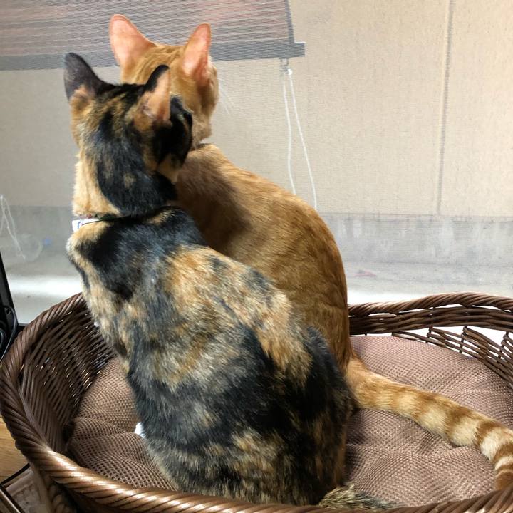 Cfc9b2da 6236 4a31 88b8 f85a86e36c41 1569985336861