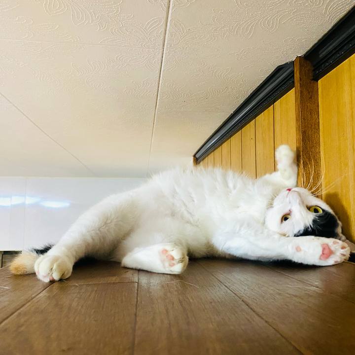 Cfc9c42e 7ba8 4561 a879 dec2a23242e0 1664313562609