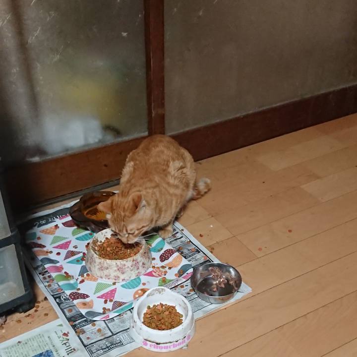 Cfc9d3c9 1811 47f6 849f f07cb1a8f7ea 1652821232838