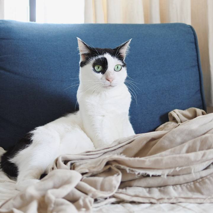 Cfc9e0fb 2fb2 408a b282 6ae7944d8fcf 1607520415165