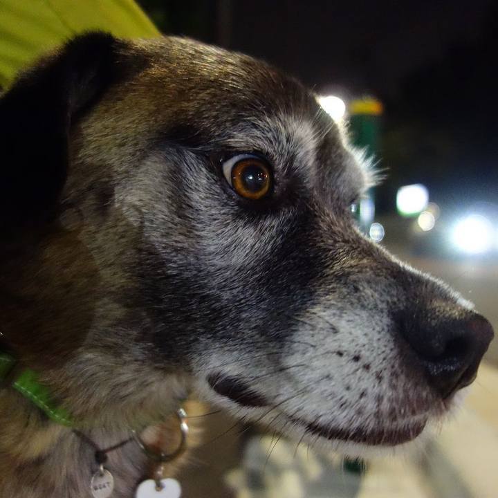 Cfc9f6c9 5fa4 4cf8 b586 1f7eed36657f 1508843347433