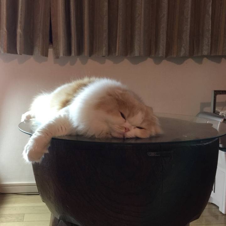 Cfca2902 34ee 45ae ac22 fde83cc03d75 1519209980444