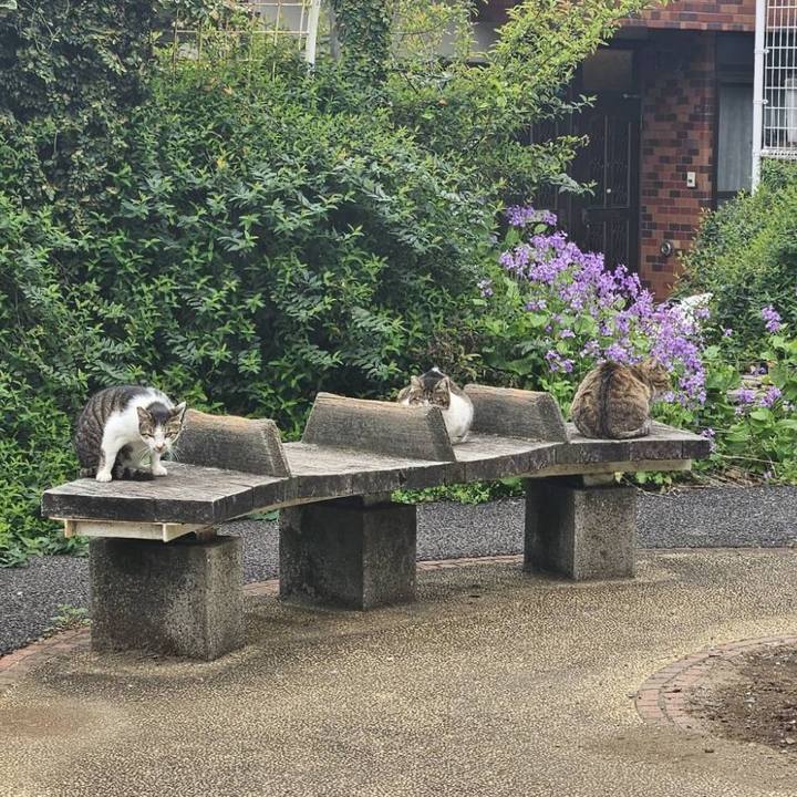 Cfca485b 9e98 4ff7 8882 15fa28c1704a 1712878041234