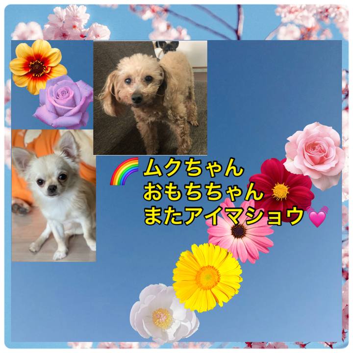 Cfca6a3b d2f0 4689 80c9 be1245af5601 1672321913461