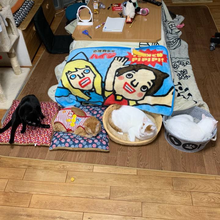 Cfcaa227 8d53 4f02 8d91 439c1cc29aa7 1577611190373