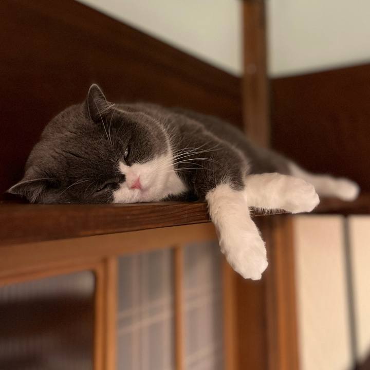 Cfcaad39 967a 4957 bc4f 33055a21c6f2 1705497985701