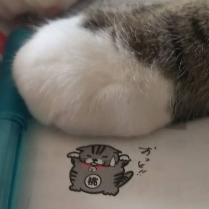 Cfcae4f7 d562 42e1 9d8b 6ffd648120d5 1626420202724