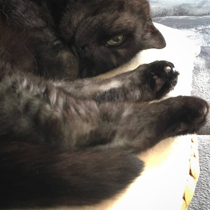 Cfcb2e1e 69af 46b6 a70d 0e4763125217 1561186846156