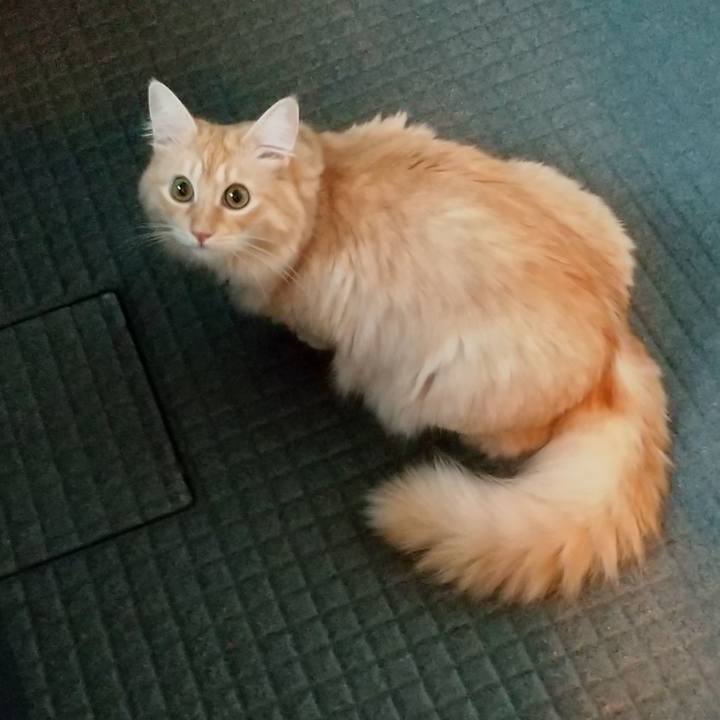 Cfcb5afc 1b12 4485 8708 db5c6421de27 1633473206508