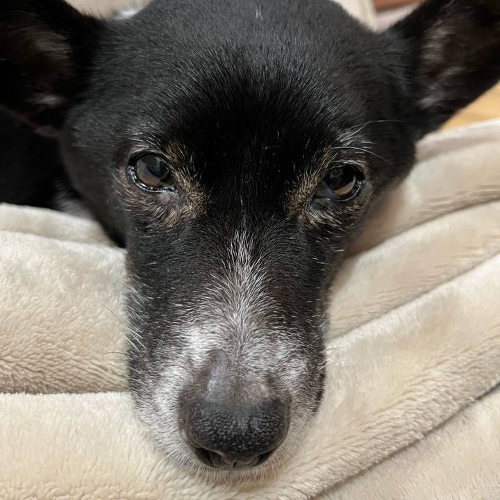 Cfcb7da2 6837 4d5e 8fc1 e7331422134a 1680062818682