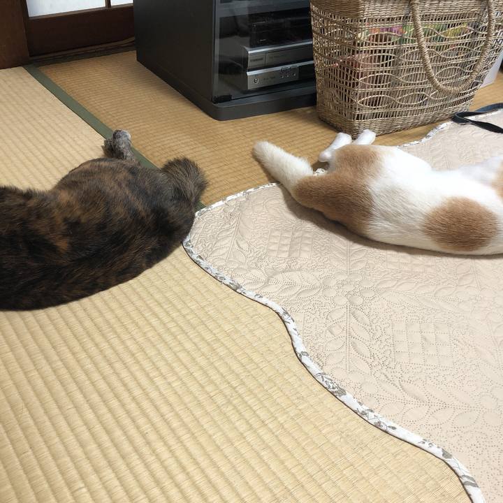 Cfcba35f 4370 4a90 8107 c79049ee560e 1596531384699