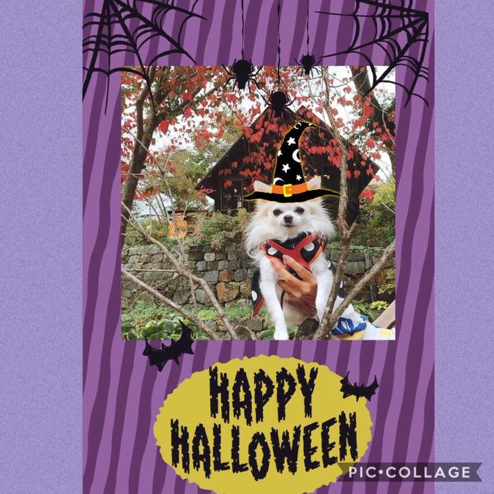 Cfcba793 4abc 4315 aef4 730ff8f8e10d 1571898520310