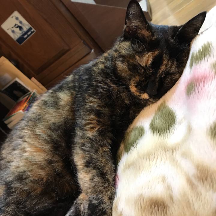 Cfcbab73 d273 4771 b287 f220a1d707d4 1519039634740