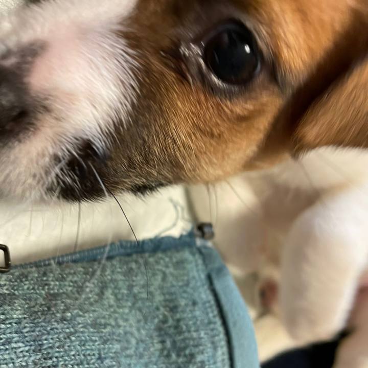 Cfcbcb47 fa73 4314 95d3 84ff5de60016 1615081583884