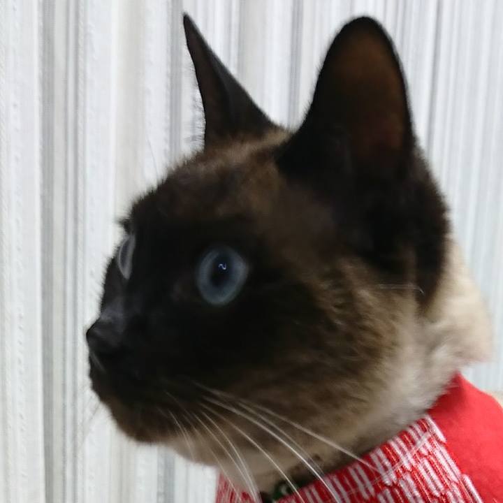 Cfcbcd4b 870c 4aa5 a549 7260615ba9a3 1521240916216