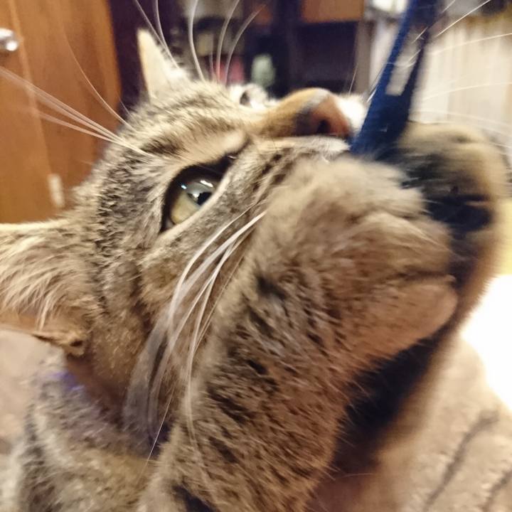 Cfcc1309 0cb0 40a8 af31 abf41a412b16 1554557037234