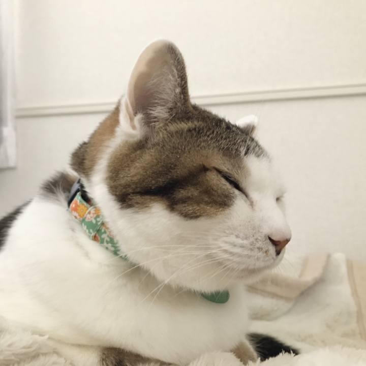 Cfcc1430 1bda 421e aefe 8710f84741ff 1545022375160