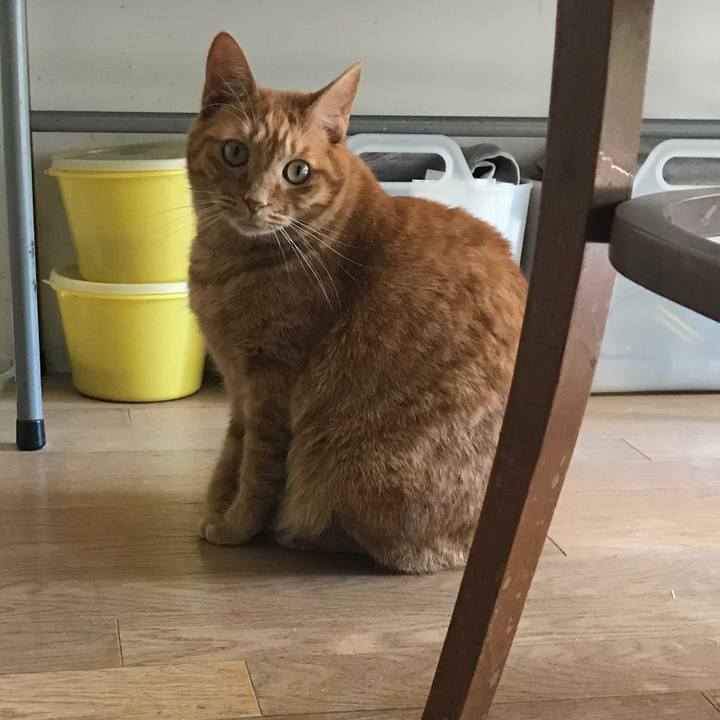 Cfcc2bf5 578c 43b1 962e afc29a4f47a6 1509363738860