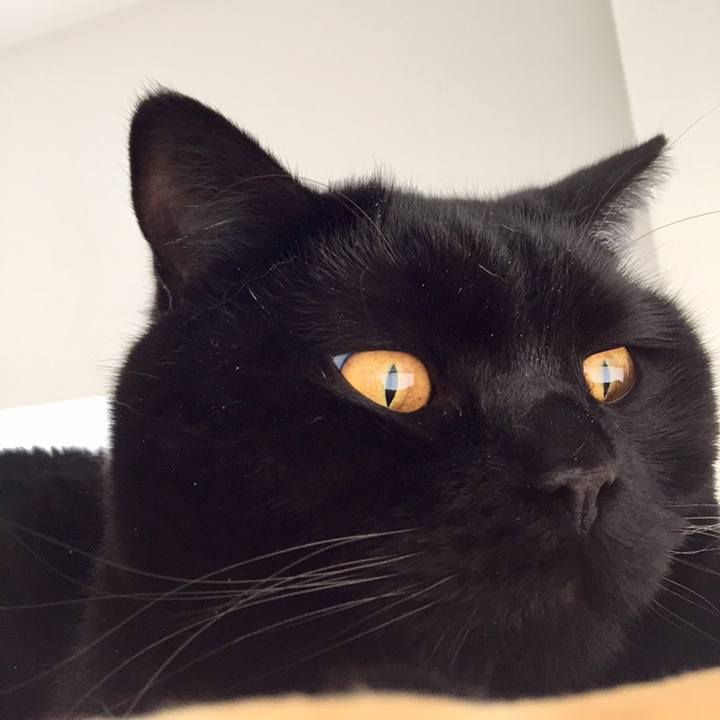 Cfcc5ace e57f 413c b80d 0d746f3be79f 1558164360004