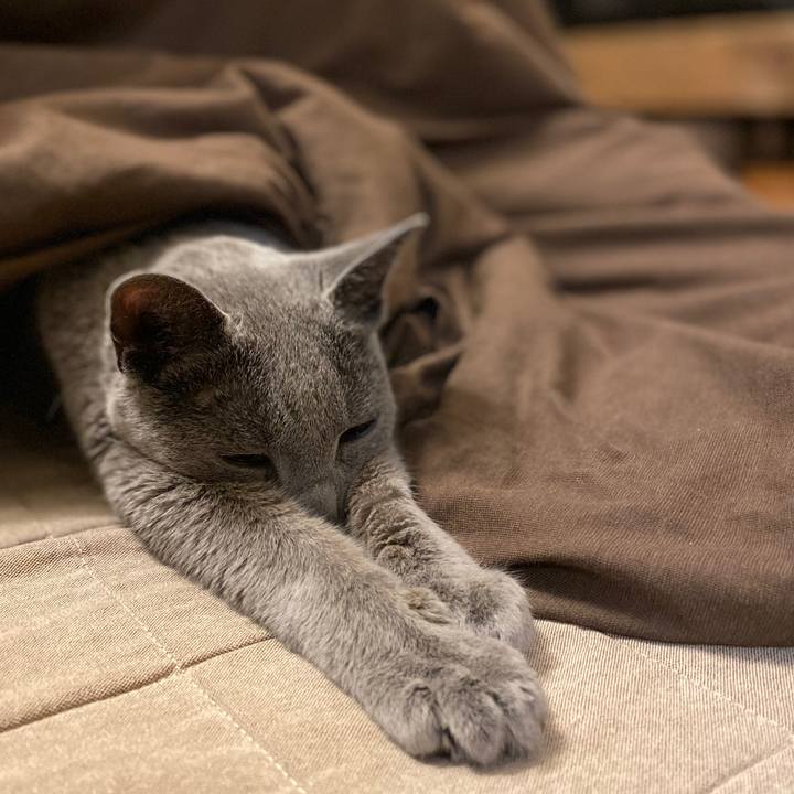 Cfcc811a 9aff 4017 9004 0e4b82f7faae 1582723745520