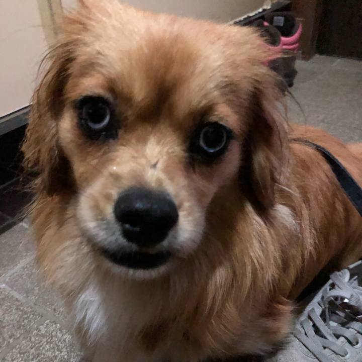 Cfccb14b c2fe 48bb 95cd 509654890b37 1527629035323