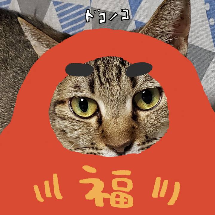 Cfccc887 bd2d 4974 b1c0 6e9c2de840ae 1772104471514