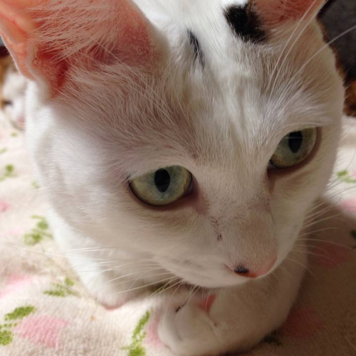 Cfcd6578 db2e 488d 9863 8246a19c7956 1509259894613