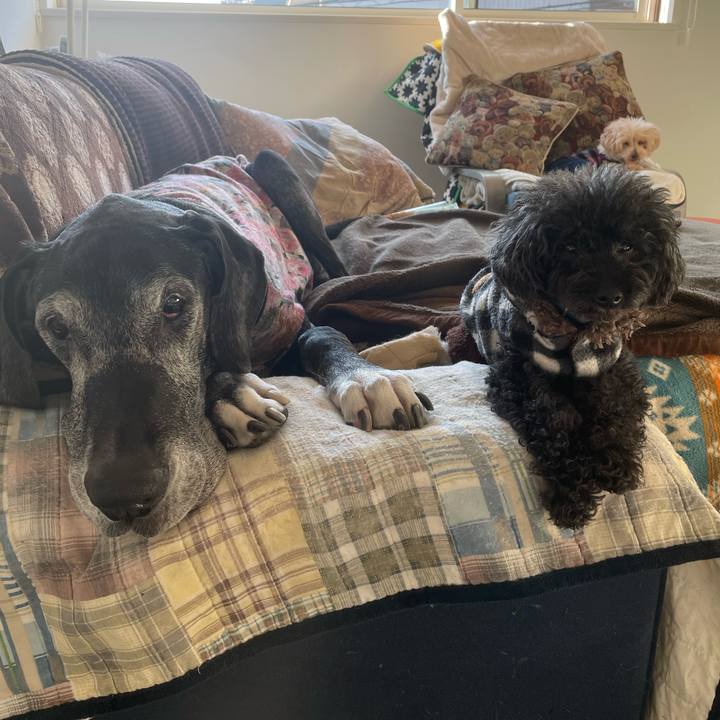 Cfcdb4f8 971c 4b17 9119 21f78e38fd28 1645050876175