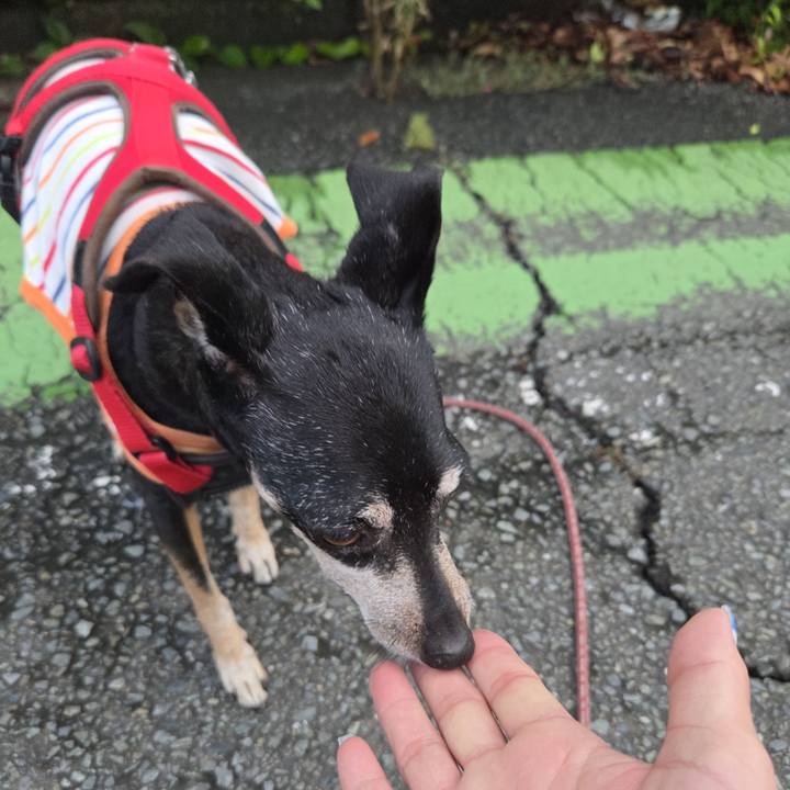 Cfcdbc8a 628f 4698 84b1 84016abb91da 1752697950810