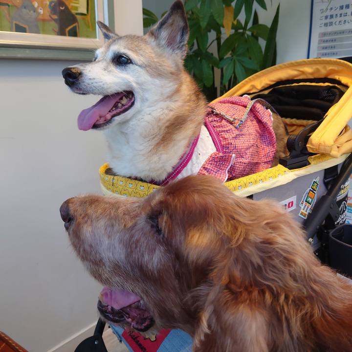 Cfcdcbbf 1129 4add 979c f77966cf520e 1727614274654