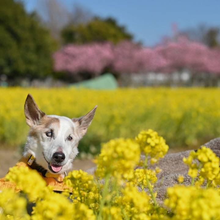 Cfcde66f 4df5 4f34 83ac 2c354b6a5fe9 1773336054069