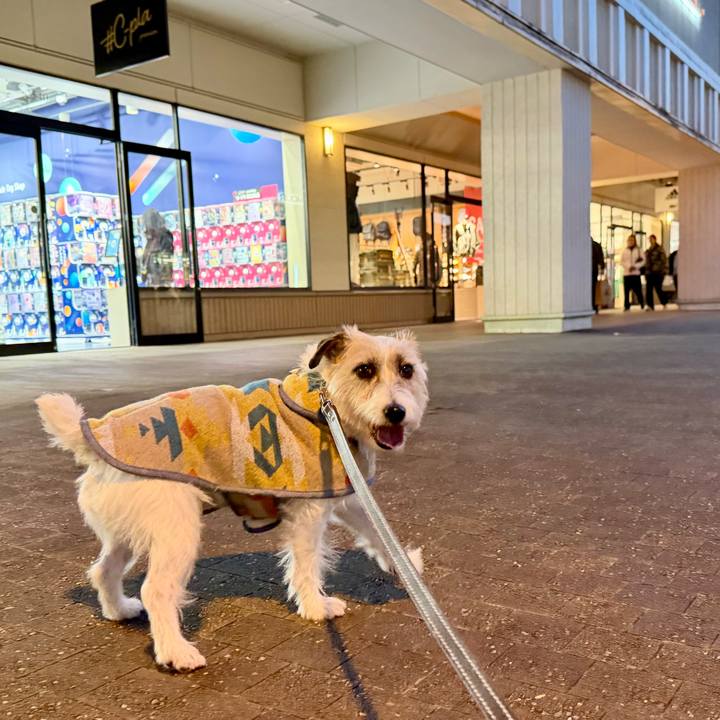 Cfce1271 1645 45ce bc49 9b81a7bd43e7 1769266991623