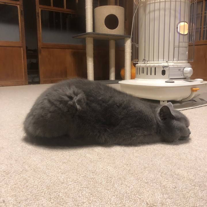 Cfce3906 05f2 47a4 88af eaf71a1ac904 1583543827719