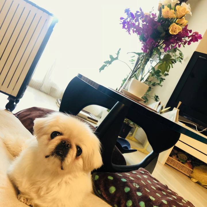 Cfce4dbc 038a 47af 9ea5 a2e54985a929 1549345279759