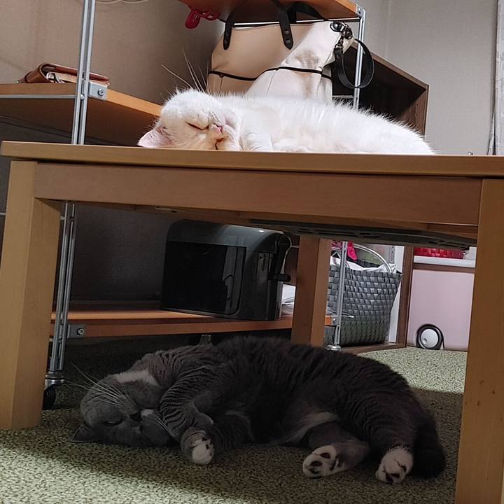 Cfce8e46 5125 4d99 aa4c 8b4c68232cc9 1652471756296