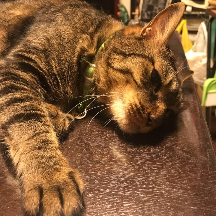 Cfcec3c9 290e 4b91 95c7 9770ab6a8c3e 1626703803358